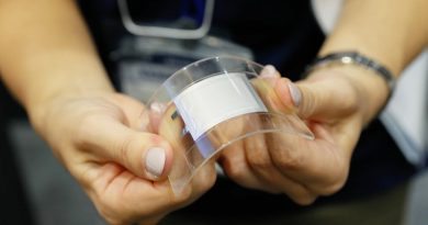 Гибкий аккумулятор Panasonic | источник: blogspot.com