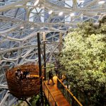 Amazon Spheres | Фото: BayToday.ca