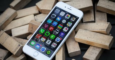 iPhone | Фото: The Verge