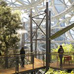 Amazon The Spheres | Фото: KUOW