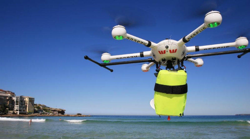 Little Ripper | Фото: newswire.com