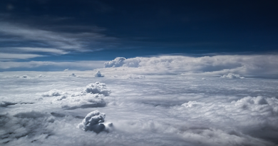 Photo by Kendrick Fernandez on Unsplash