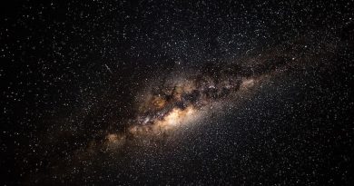 Photo by Brett Ritchie on Unsplash