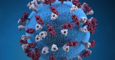 Photo by CDC on Unsplash