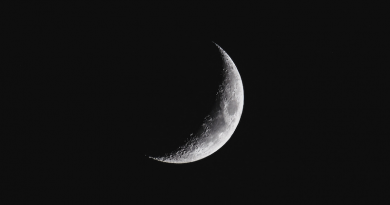 Photo by Luke Stackpoole on Unsplash