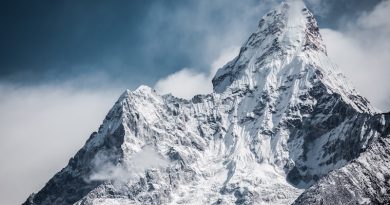 Photo by Martin Jernberg on Unsplash