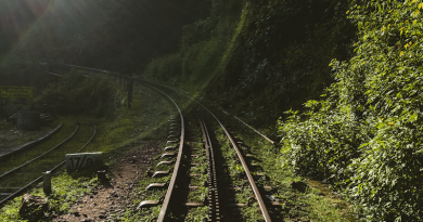 Photo by Chirag Saini on Unsplash