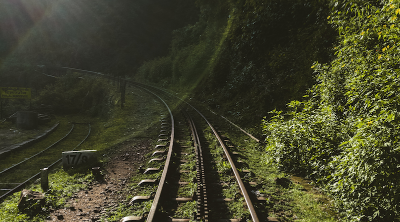 Photo by Chirag Saini on Unsplash