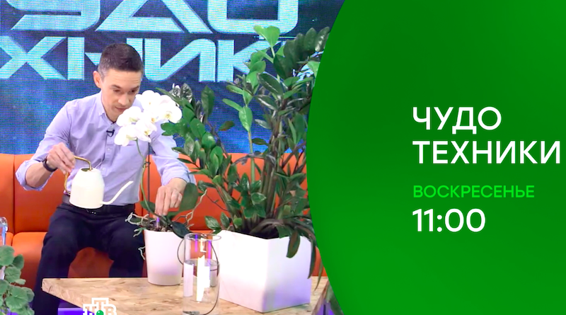 анонс 21-06-2020