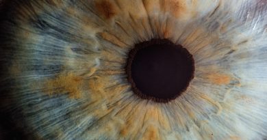 Фото v2osk on Unsplash