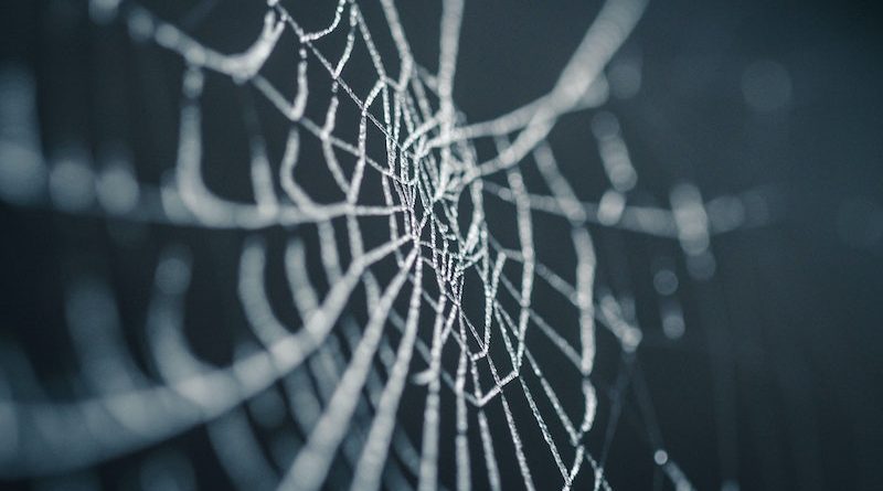 Фото Nicolas Picard on Unsplash