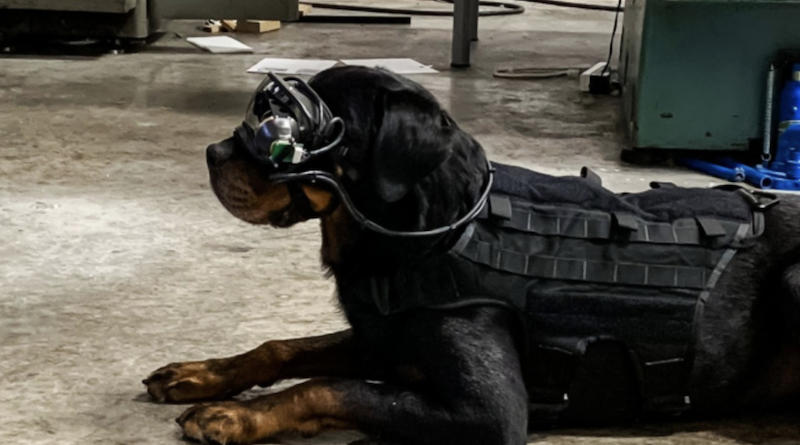 Фото Command Sight, Inc.