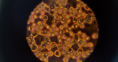 Фото ThisisEngineering RAEng on Unsplash