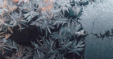 Фото Kelly Sikkema on Unsplash