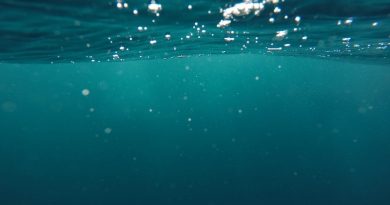 Фото Jeremy Bishop on Unsplash