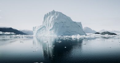 Фото Annie Spratt on Unsplash
