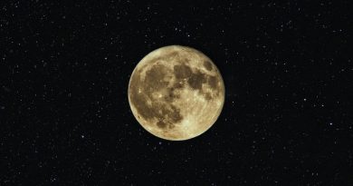 Фото Neven Krcmarek on Unsplash