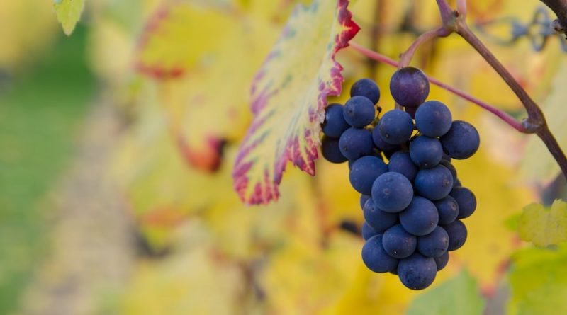 Фото Zbynek Burival on Unsplash