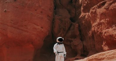 Фото Nicolas Lobos on Unsplash