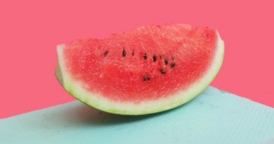 Фото Elena Koycheva on Unsplash
