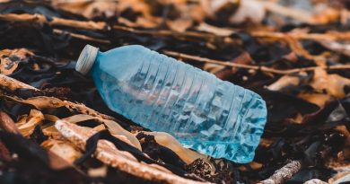 Фото Erik Mclean on Unsplash