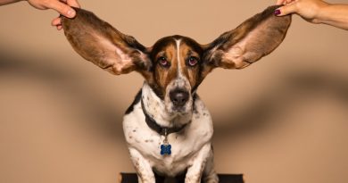 Фото kyle smith on Unsplash