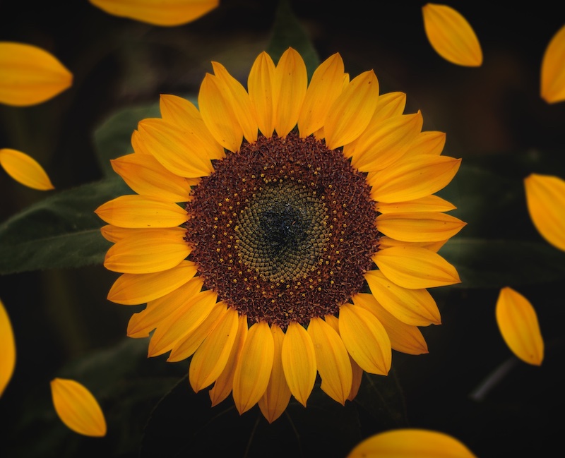 Фото Yair Mejía on Unsplash
