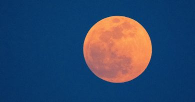Фото CHUTTERSNAP on Unsplash