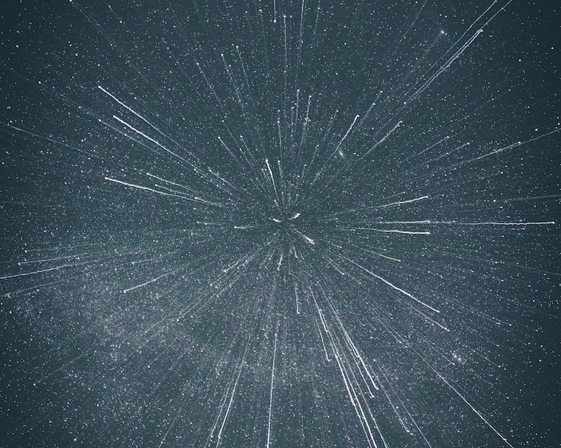 Фото Casey Horner on Unsplash