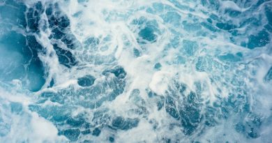 Фото Christoffer Engström on Unsplash