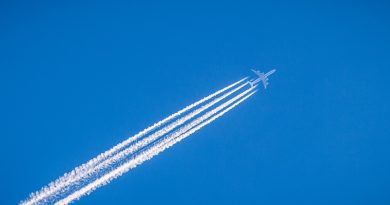 Фото William Hook on Unsplash