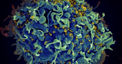 Фото National Cancer Institute on Unsplash