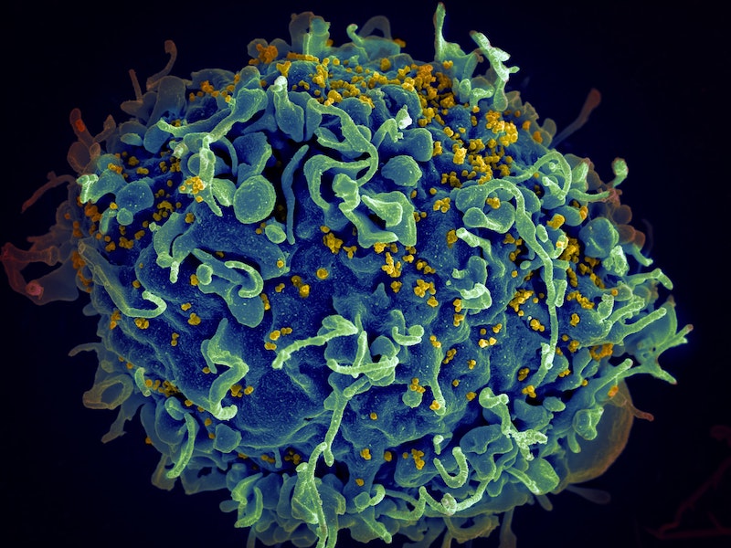 Фото National Cancer Institute on Unsplash