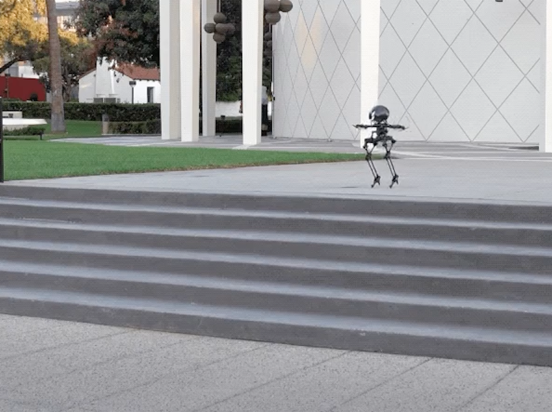 Фото CALTECH