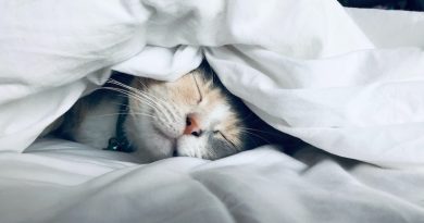 Фото Kate Stone Matheson on Unsplash