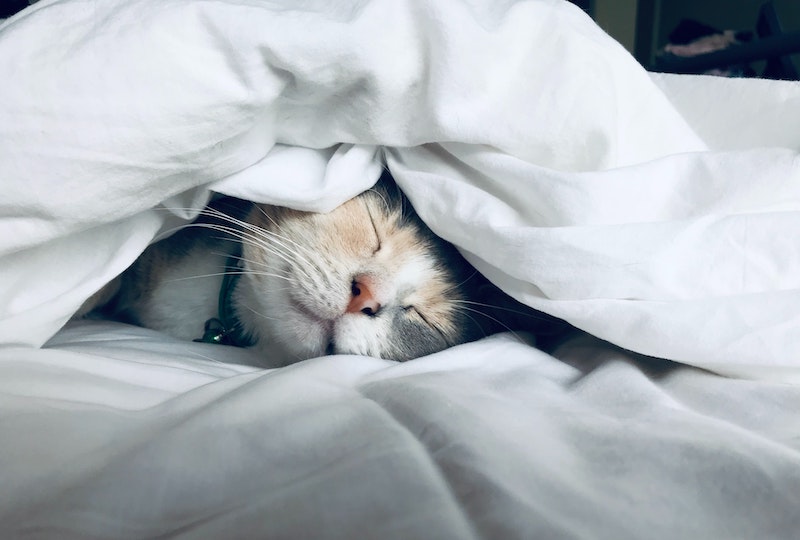 Фото Kate Stone Matheson on Unsplash