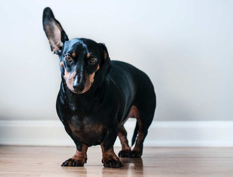 Фото Erda Estremera on Unsplash