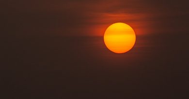 Фото Lenstravelier on Unsplash