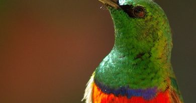 Фото Mikegoulding