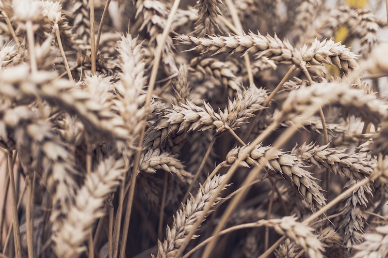 Фото Daniel Hansen on Unsplash