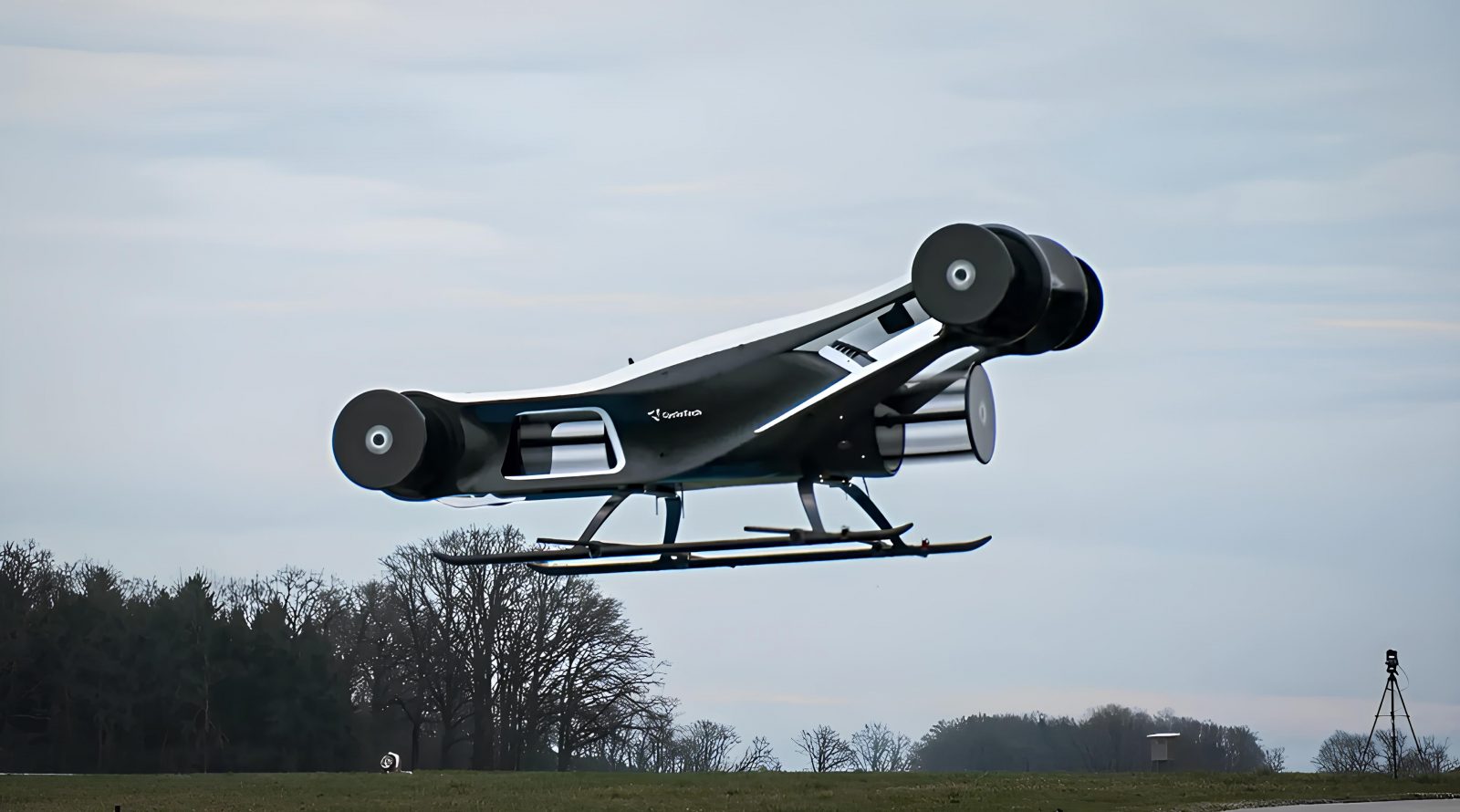 Blackbird