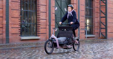gruzovye-velosipedy-long-john-cargo
