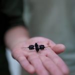 Roboty-opyliteli-2