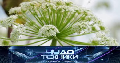 chudo_070925