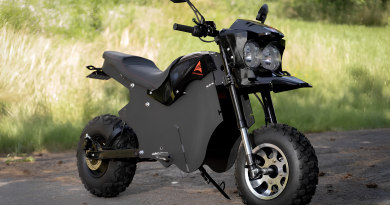 electrobike_mojet_prevrashatsa_v_snegokat