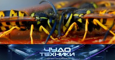 vypusk_chudo_tekhniki_14092025