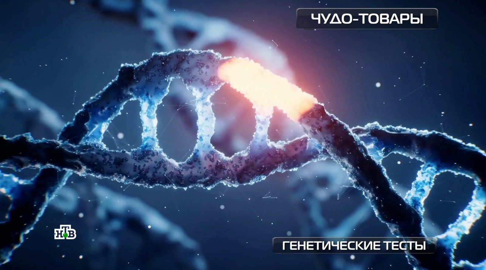 geneticheskie-testi