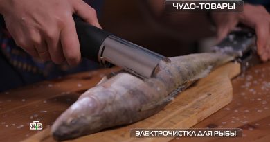 elektrochistka-dlya-ryby