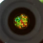 LEGO-Ideas
